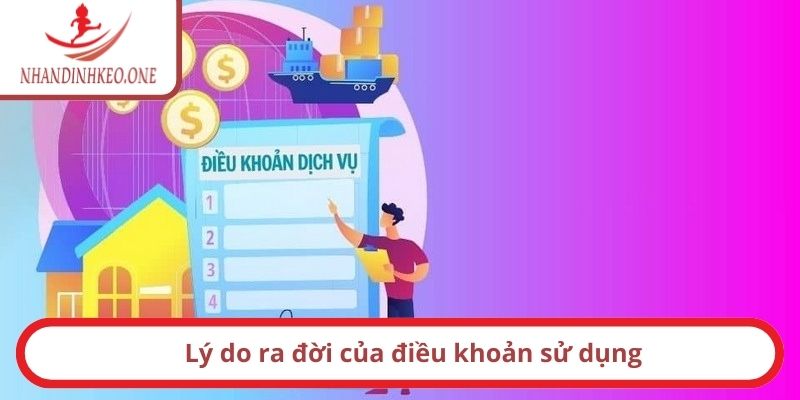 Lý do ra đời của điều khoản sử dụng