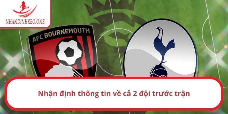 Nhận định Tottenham vs Bournemouth gần đây thế nào