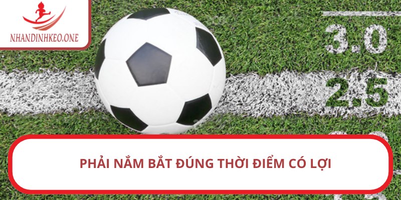 Phải nắm bắt đúng thời điểm có lợi